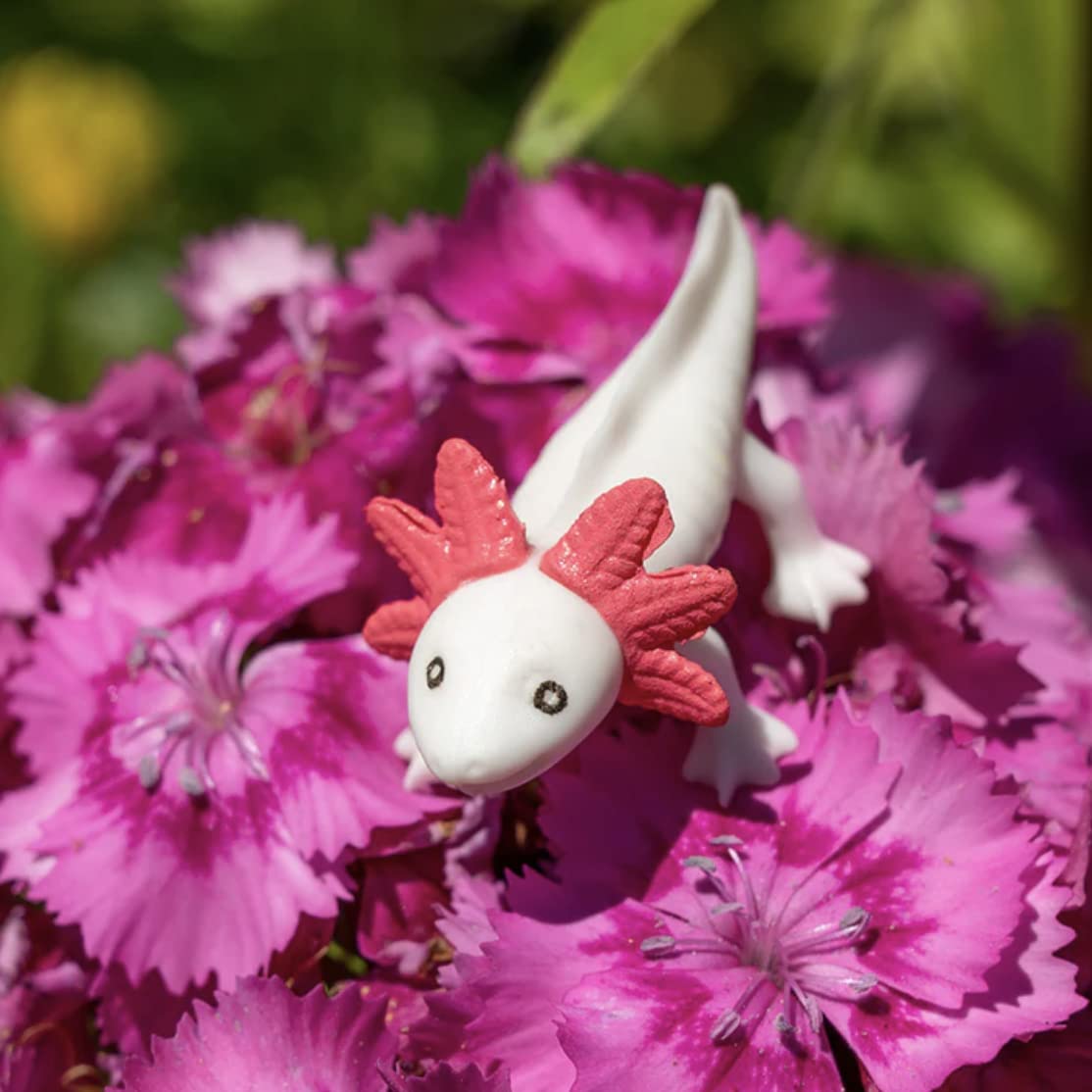 Accoutrements Itty Bitty Axolotls illustrated bag scene, gifting joy