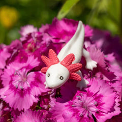 Accoutrements Itty Bitty Axolotls illustrated bag scene, gifting joy