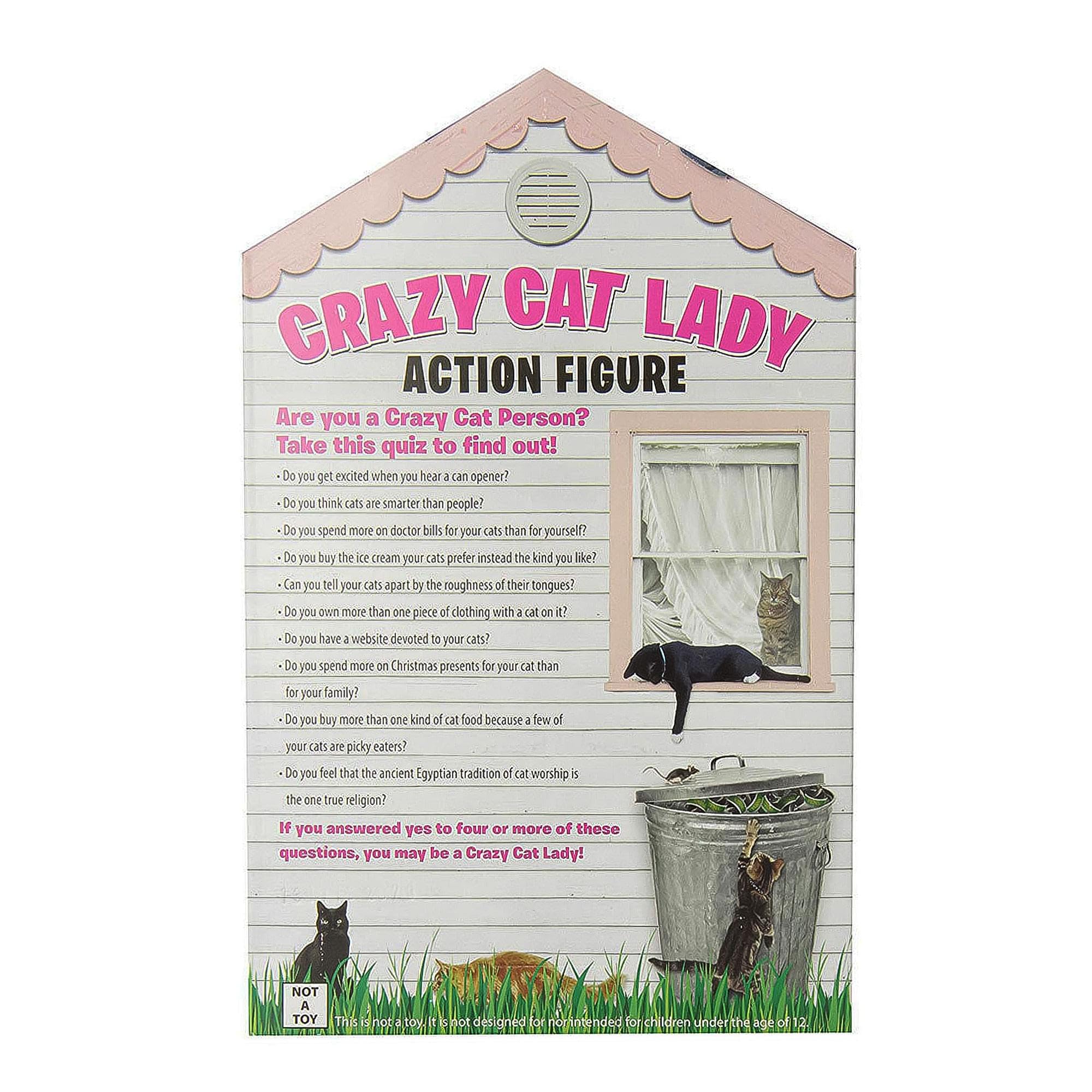 Accoutrements Crazy Cat Lady multicolored figure brightens any shelf.
