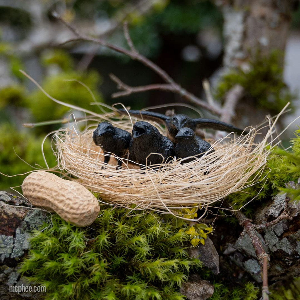 Accoutrements illustrated nest box packaging, ready-to-display crow set for home décor.