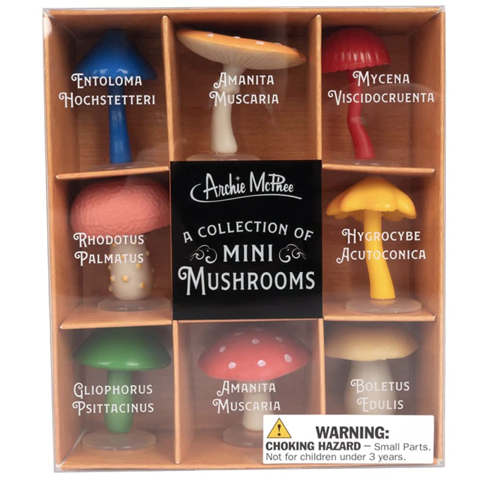 Accoutrements Mcphee magic mushrooms set ideal for desk decor.