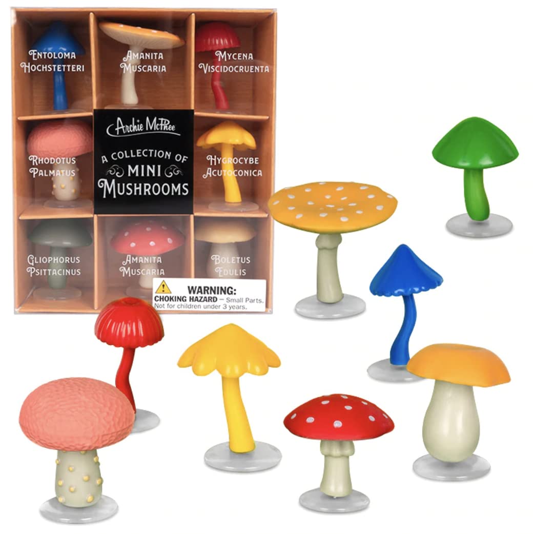Accoutrements Mcphee eight-piece set shown in cabinet or fairy circle.