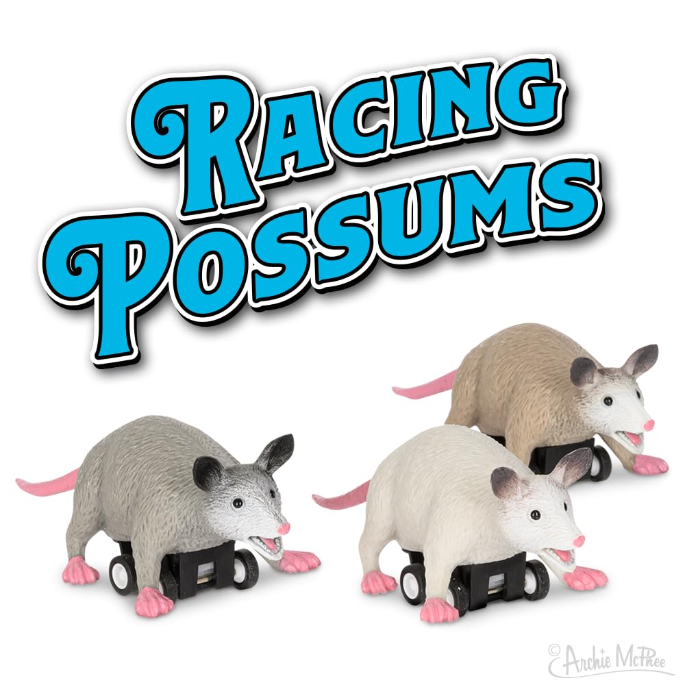 Accoutrements Racing Possums set packaging showcases compact, playful packaging for easy gifting.