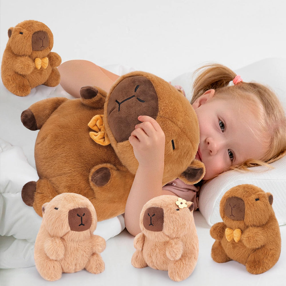 Achwishap Capybara gift-ready packaging for birthdays and holidays