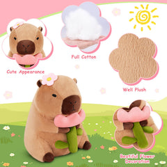 Achwishap Capybara Plush safety certifications for kids.