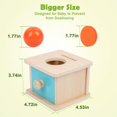 Ball drop feature on Adena Montessori toy promotes hand-eye coordination through interaction.