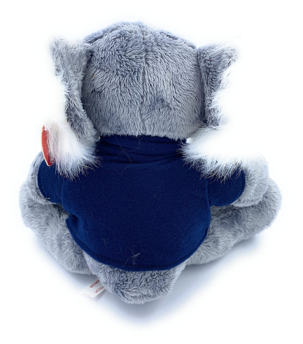 Aeisage Koala dimensions 6x7x3 inches, compact gift-ready size