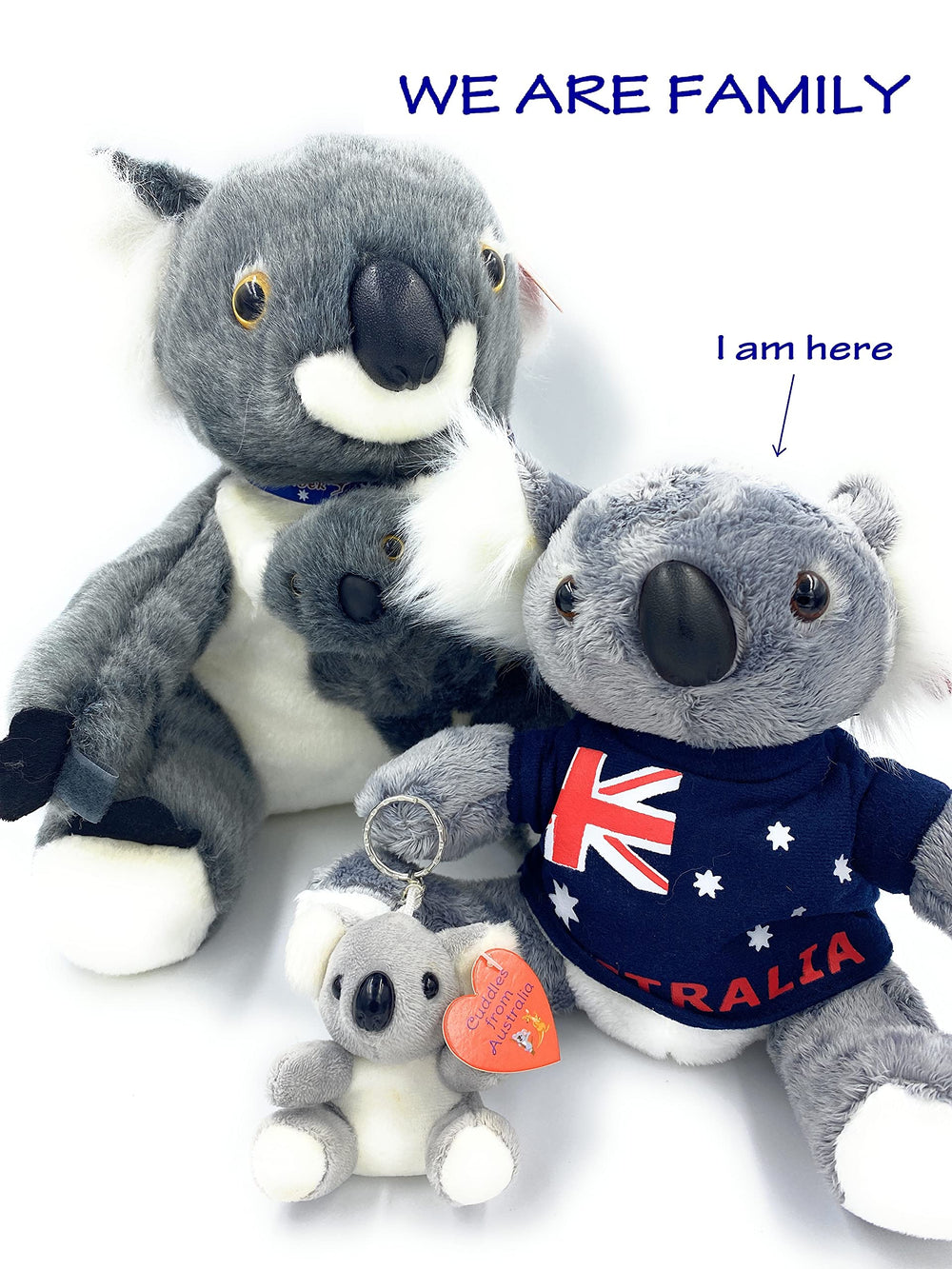 Aeisage Koala with heart card detail adds keepsake.
