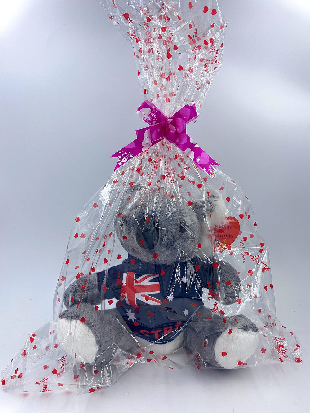 Aeisage 8-inch Koala packaging, ready to gift.
