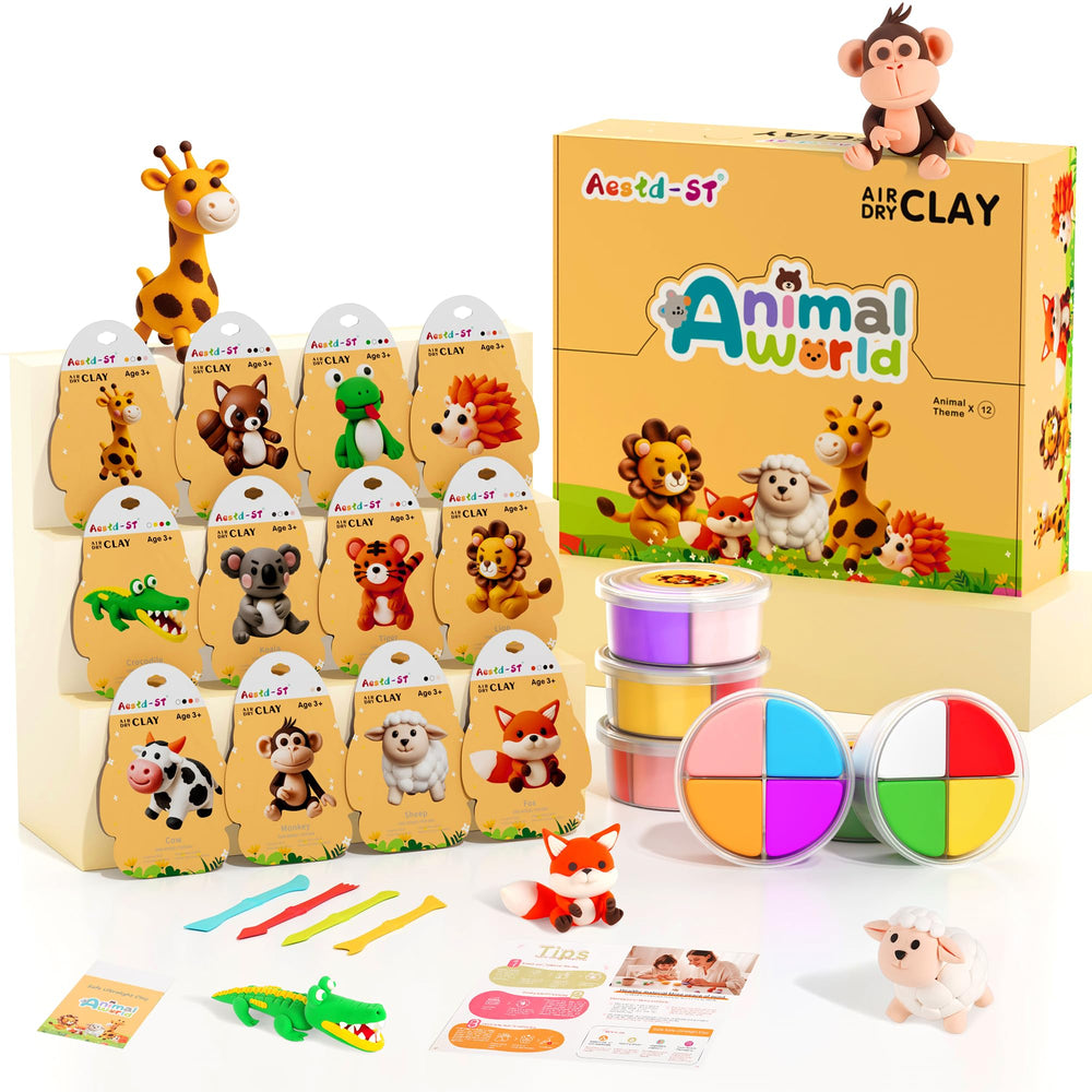 Aestd-ST air dry clay kit animal theme boxes for kids' creative play.