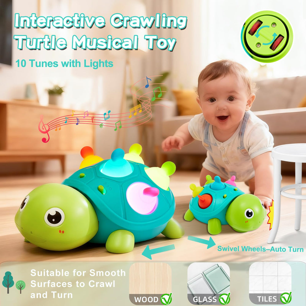AiTuiTui turtle back with five silicone pop-it buttons for teething and fine motor play.