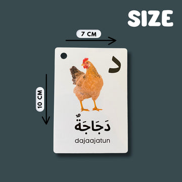 Albidaya colorfully designed Arabic vocabulary flash cards for interactive study