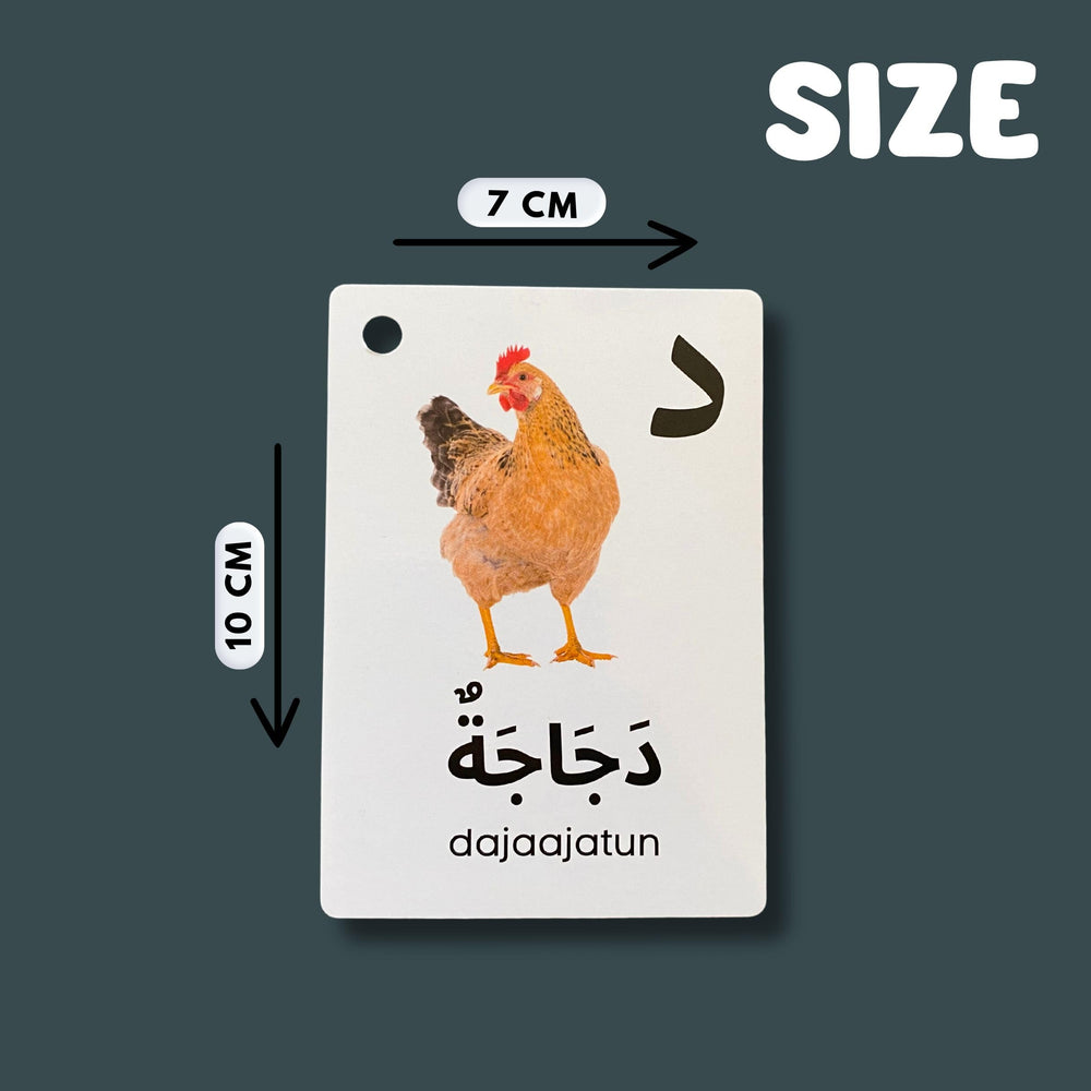 Albidaya colorfully designed Arabic vocabulary flash cards for interactive study