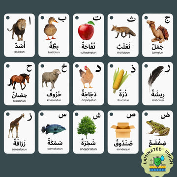 Albidaya laminated flash cards 70x100 mm designed for easy handling