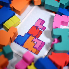 Kittin instruction cards revealed guiding easy learning and fast setup.