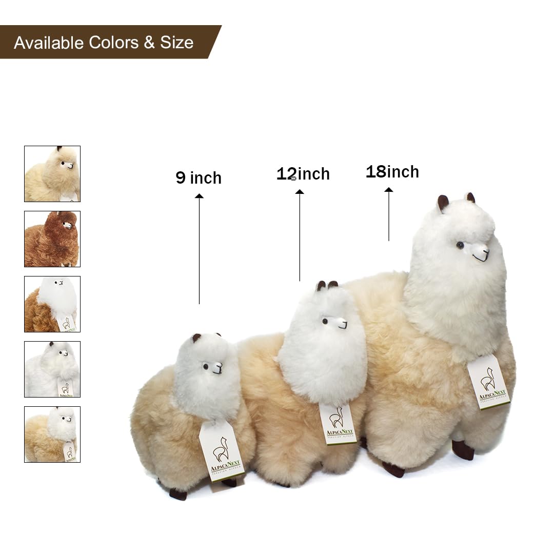AlpacaNext gift-ready packaging preview with tag, ideal for gifting.