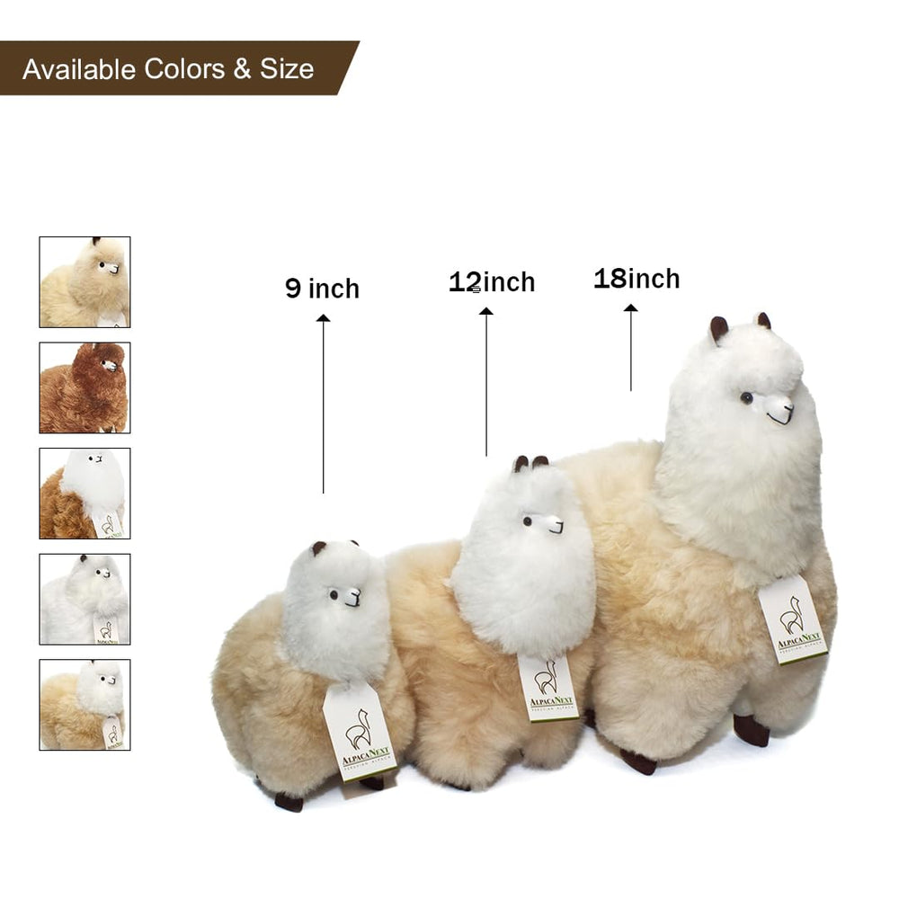 AlpacaNext gift-ready packaging preview with tag, ideal for gifting.