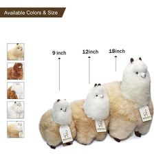 AlpacaNext gift-ready packaging preview with tag, ideal for gifting.