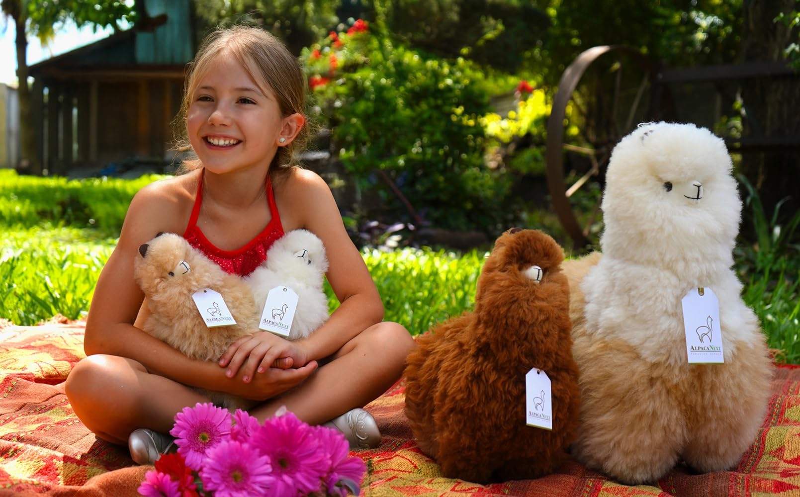 AlpacaNext decor-friendly plush suitable for home or office.