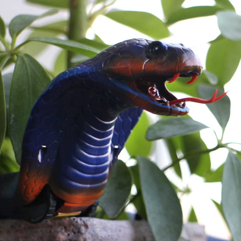 AMCHSURI infrared RC snake is great for Halloween or pranks.
