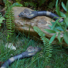 AMCHSURI king cobra robot snake on display with lifelike scales.