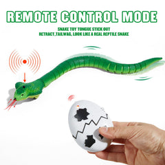AMCHSURI auto-sensing mode showcases obstacle-aware motion for safe fun.