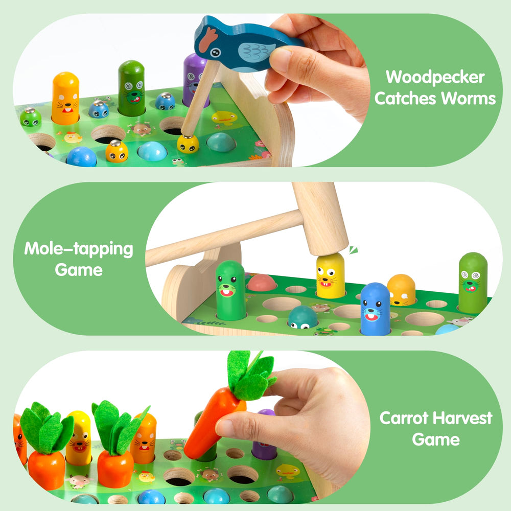 Amtreen clock and number learning view supports time sense and early math.
