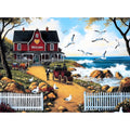 Amusding Seagull Carriage puzzle box with poster for reference and storage.