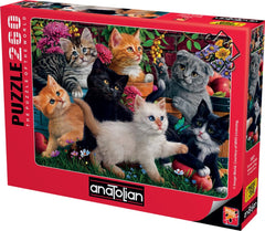 Anatolian Puzzle Kittens at Play close-up showing interlocking pieces