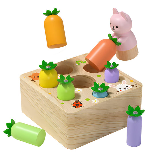 Ancaixin Montessori baby carrot set with colorful pieces for sensory exploration.