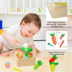 Ancaixin Montessori toys: lifelike worms promoting hand-eye coordination