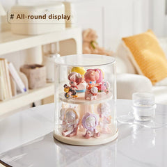 AOWIS living room and office display box blends with decor while protecting items.