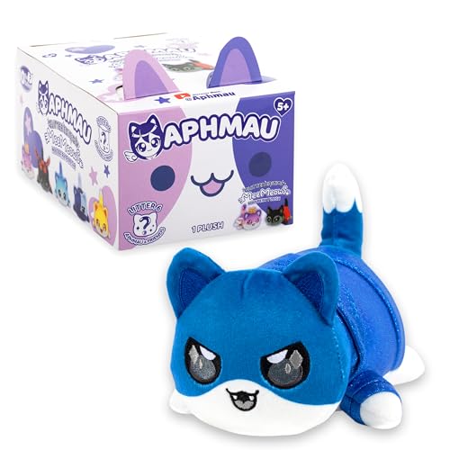 Zane Cat MeeMeow from Litter 6, bright eyes and friendly expression for play