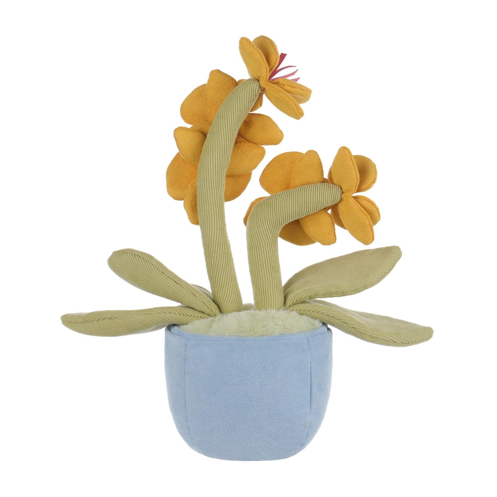Apricot Lamb potted butterfly orchid plush packaged, gift-ready.