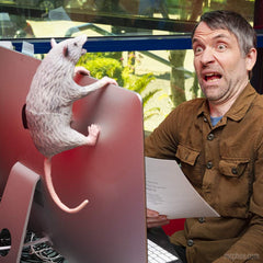 Archie McPhee Office Possum tail posed for a sassy stance