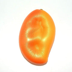 Areedy All Ages Mango Toy suits kids, teens, and adults alike.
