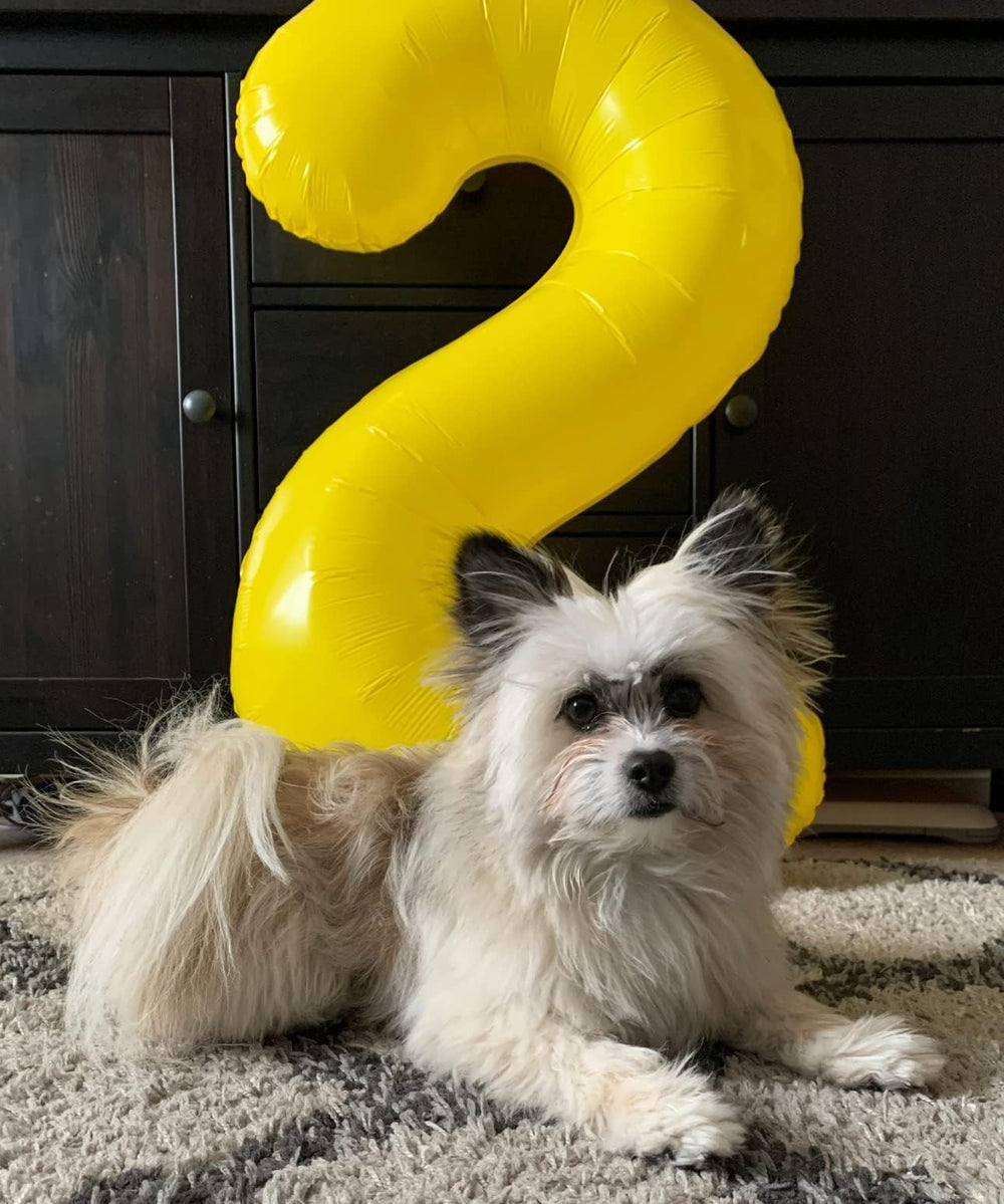 Argthjy 40-inch number balloon ten in yellow, perfect milestone accent for anniversaries