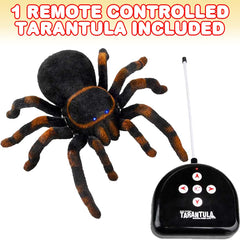 ArtCreativity spider featuring LED light-up eyes for spooky effect.