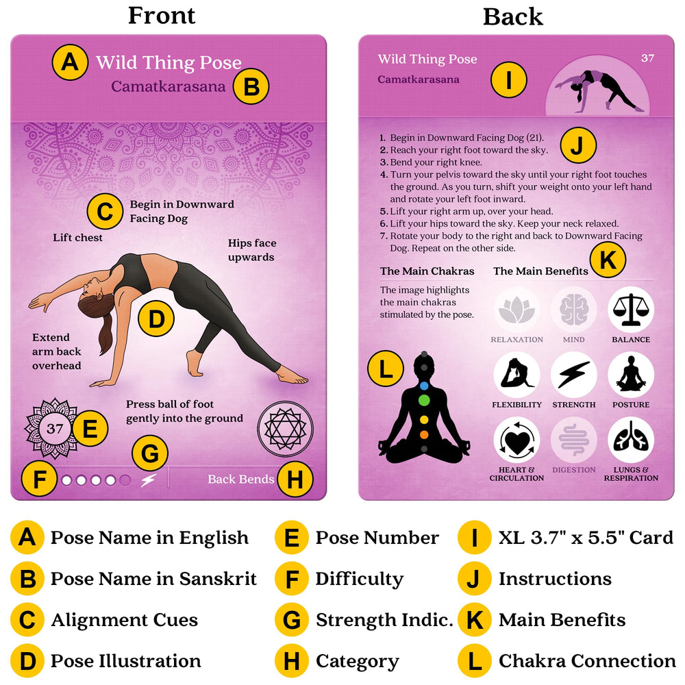 Asana Moon 108-sequence cards displayed in bright rainbow colors