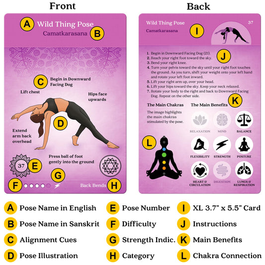 Asana Moon 108-sequence cards displayed in bright rainbow colors