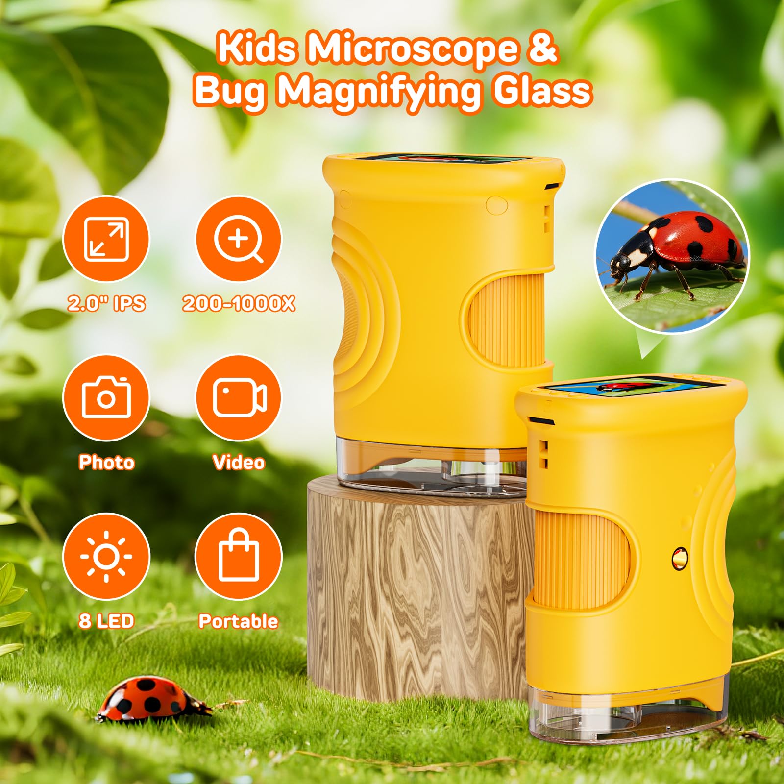 Ashfly 2-inch LCD display shows magnified image clearly for learning