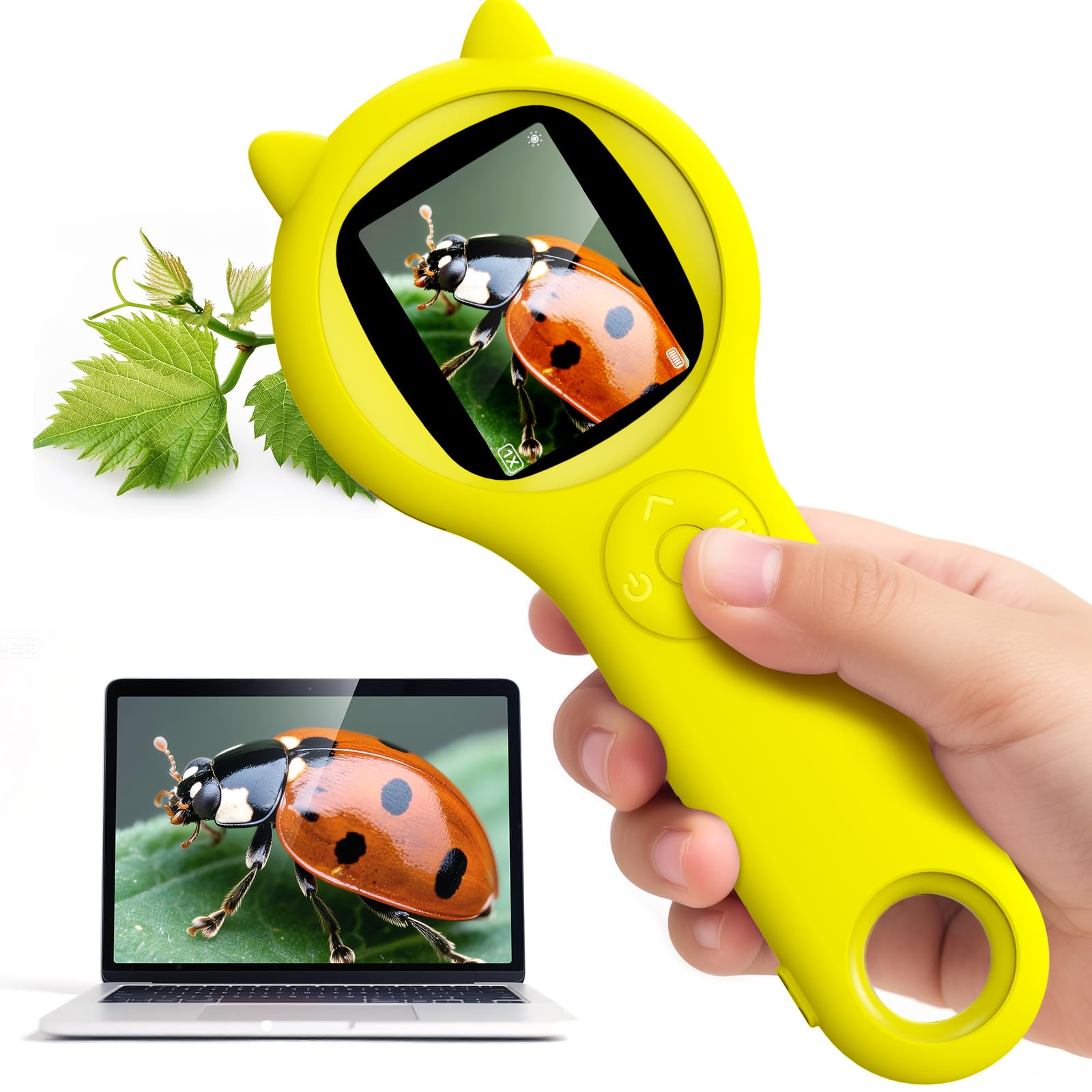 Ashfly handheld microscope with a 2-inch LCD display for vivid live imaging in kids' science explorations.