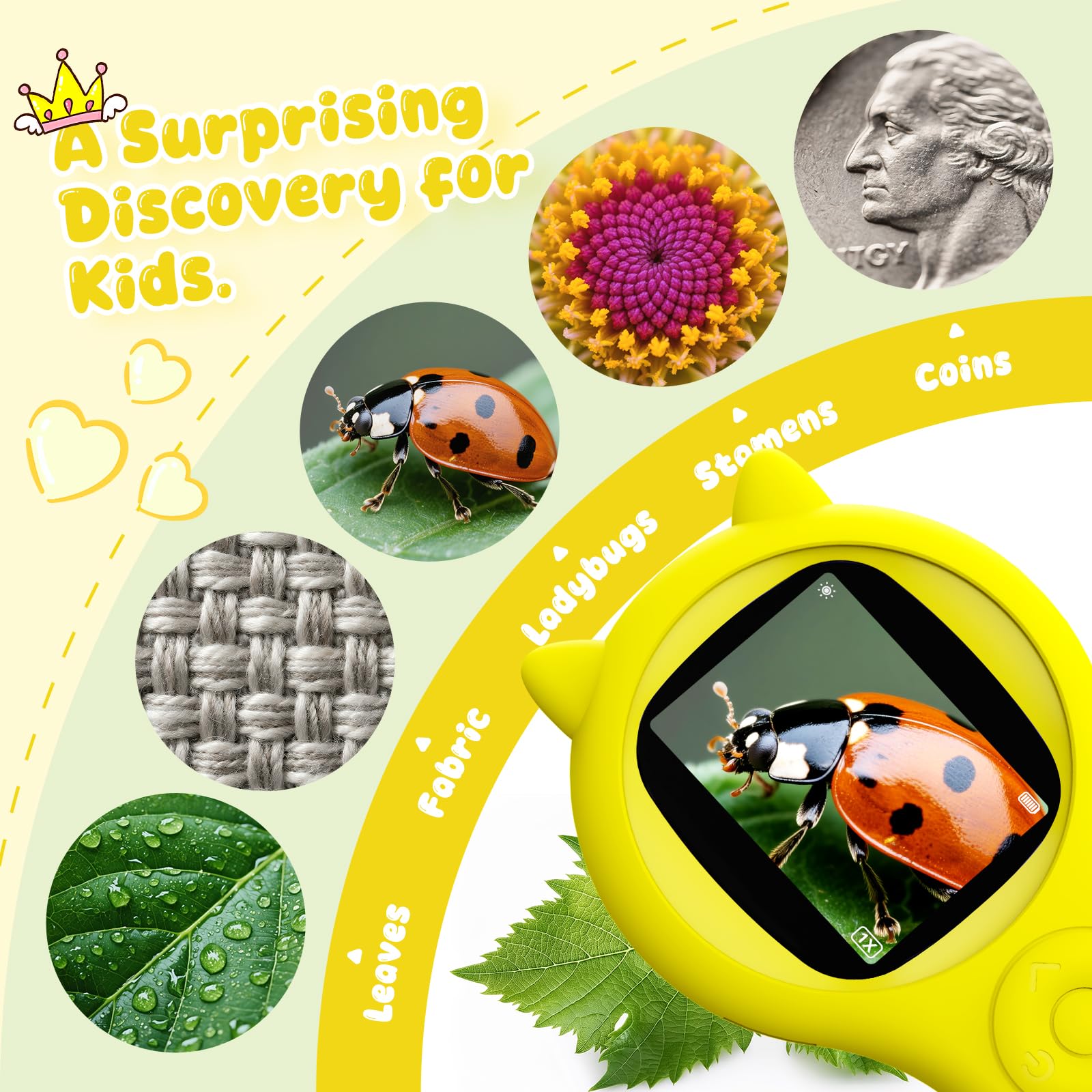 Ashfly kids magnifier includes 8 LED lights with three settings for detailed exploration.