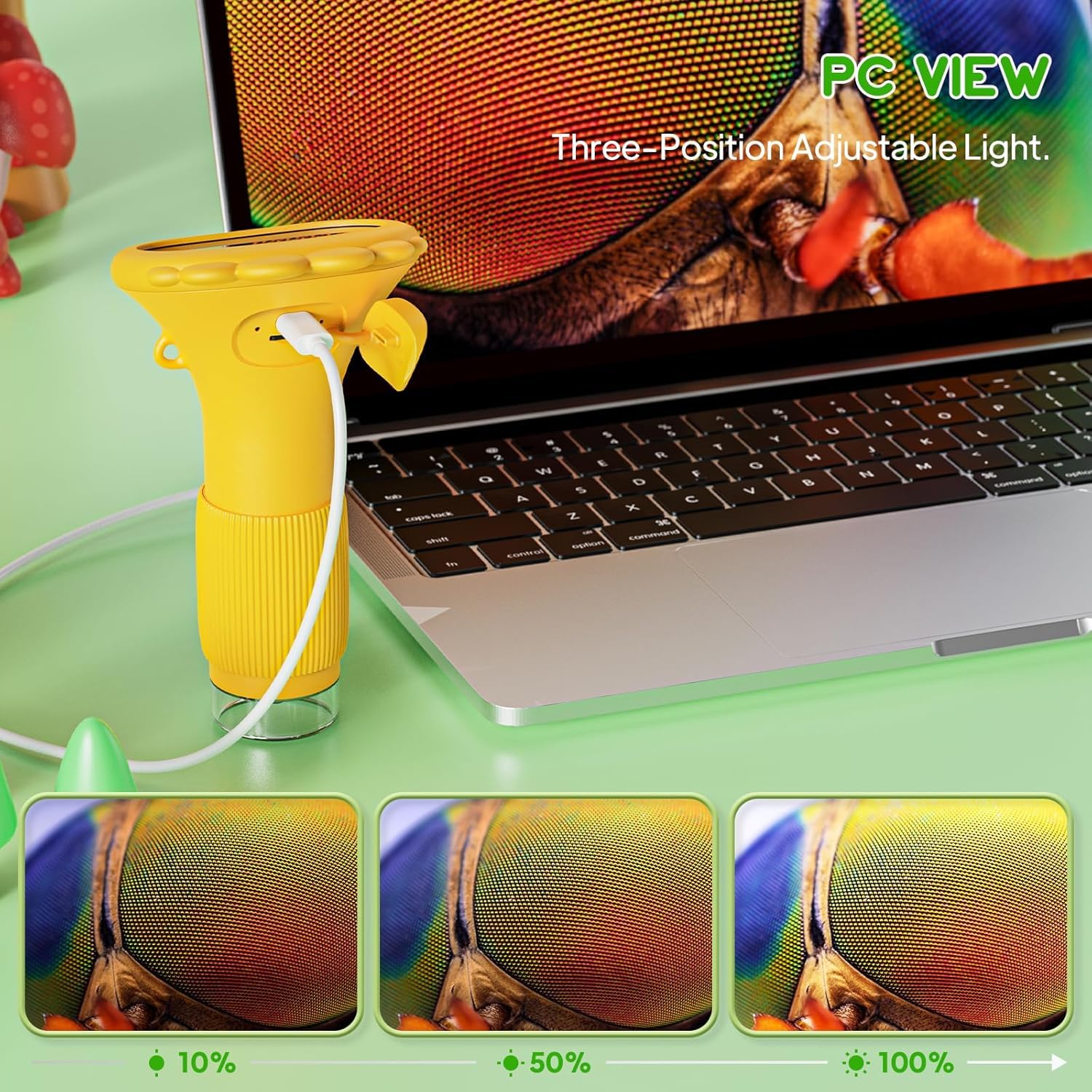 Ashfly Kids Microscope compact design fits small hands for easy learning.