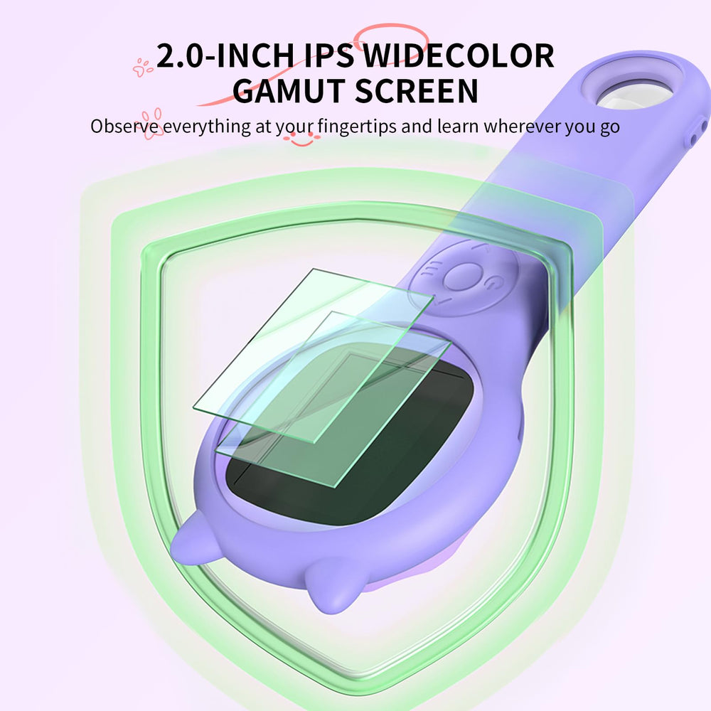 Ashfly purple design makes learning visually engaging for kids.