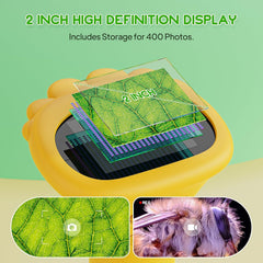 Ashfly Kids Microscope three-level LED for consistent lighting in any setting.