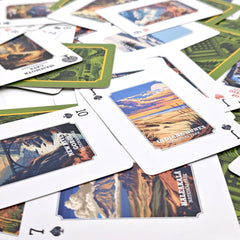 ASVP Shop National Parks Playing Cards showcase wildlife-inspired art for nature lovers.
