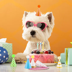 Atiloy party hats as photography props for joyful celebrations