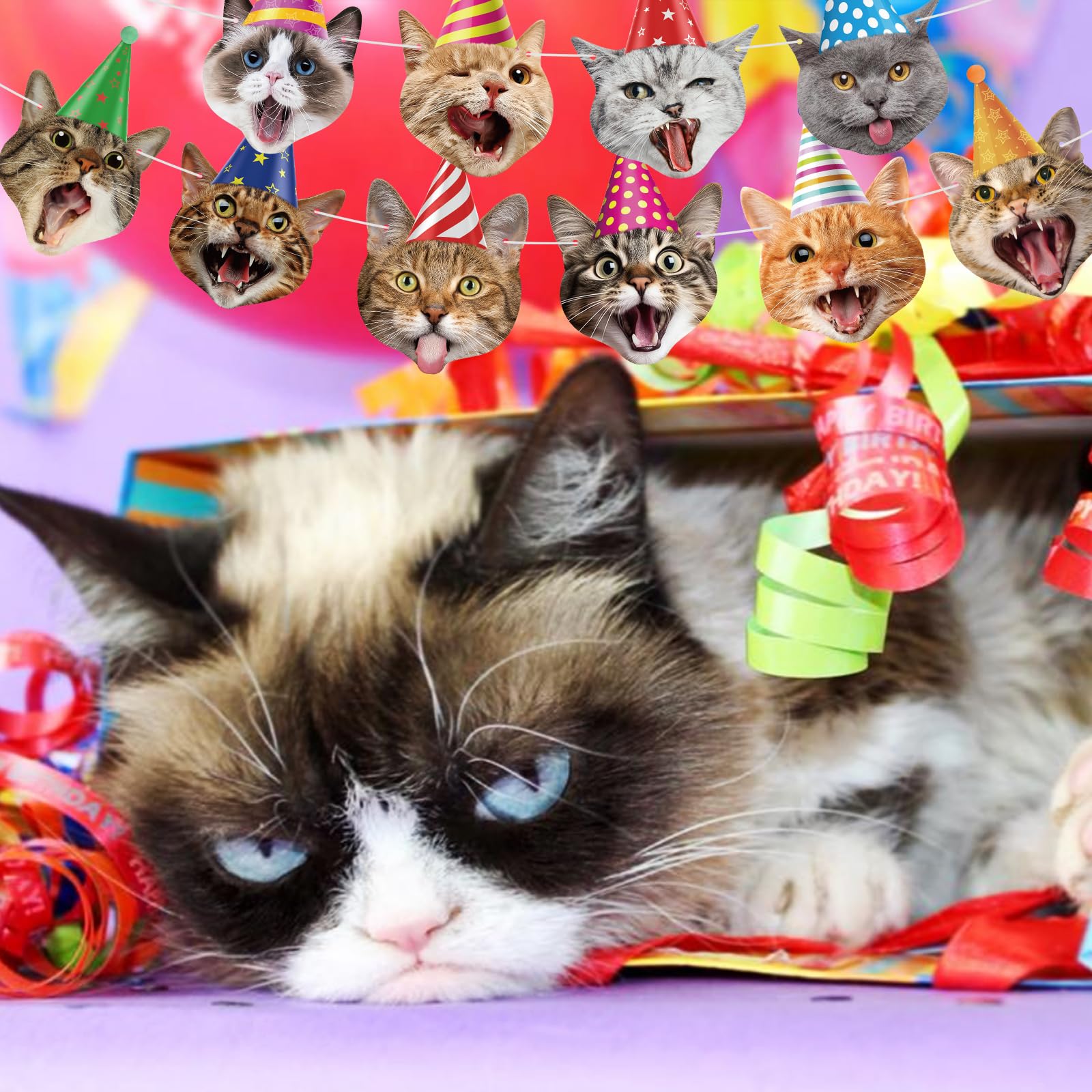 Atiloy cat-themed party decor works for multi-age gatherings.