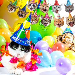 Atiloy birthday supplies for pet-themed celebrations and cat lovers.